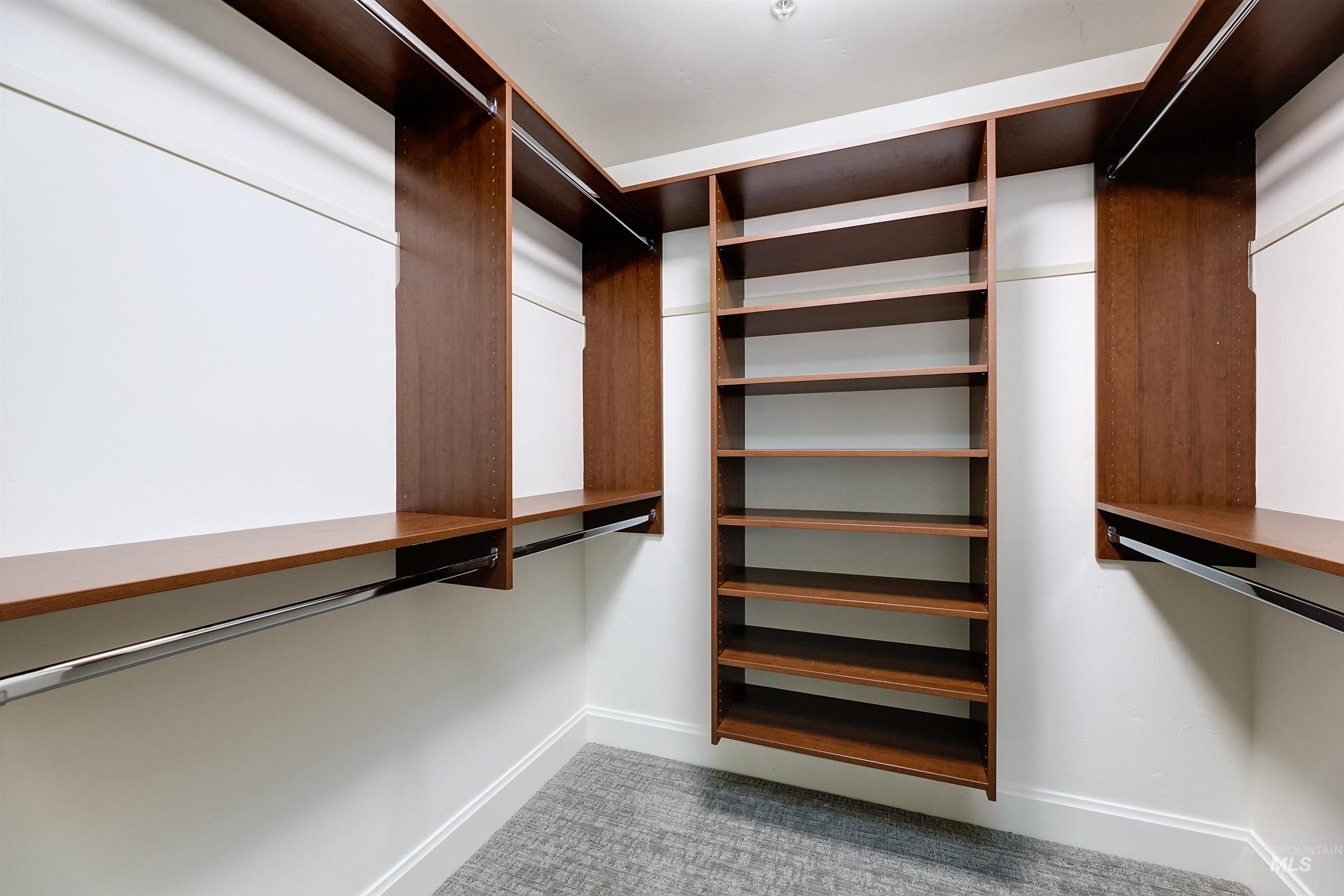 3059 W Crescent, Unit 201 Boise, ID 83706 - Photo 27 of 49 Walk in closet featuring light carpet