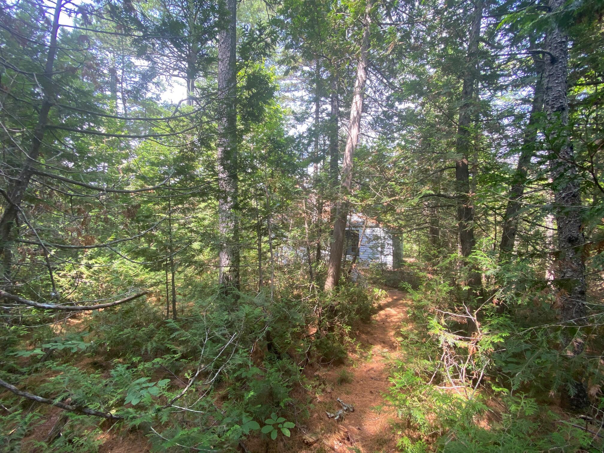 280 Greenwood Pond Road Guilford, ME 04443 - Photo 33 of 39