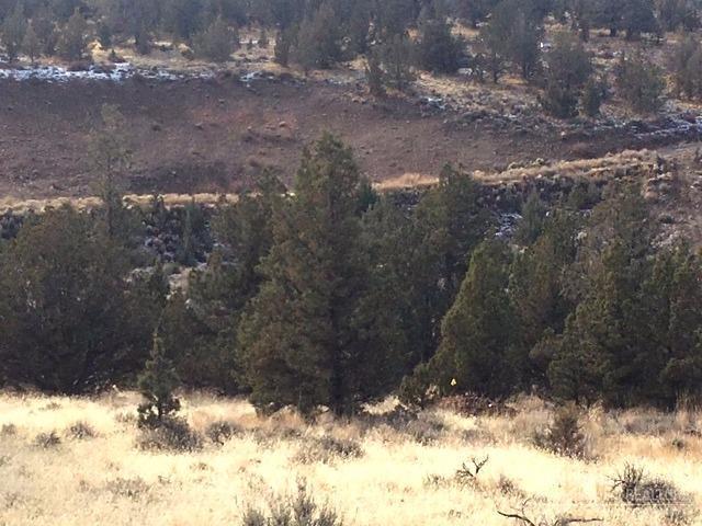 5608 Southeast Pueblo Road Prineville, OR 97754 - Photo 11 of 18 Additional Photo