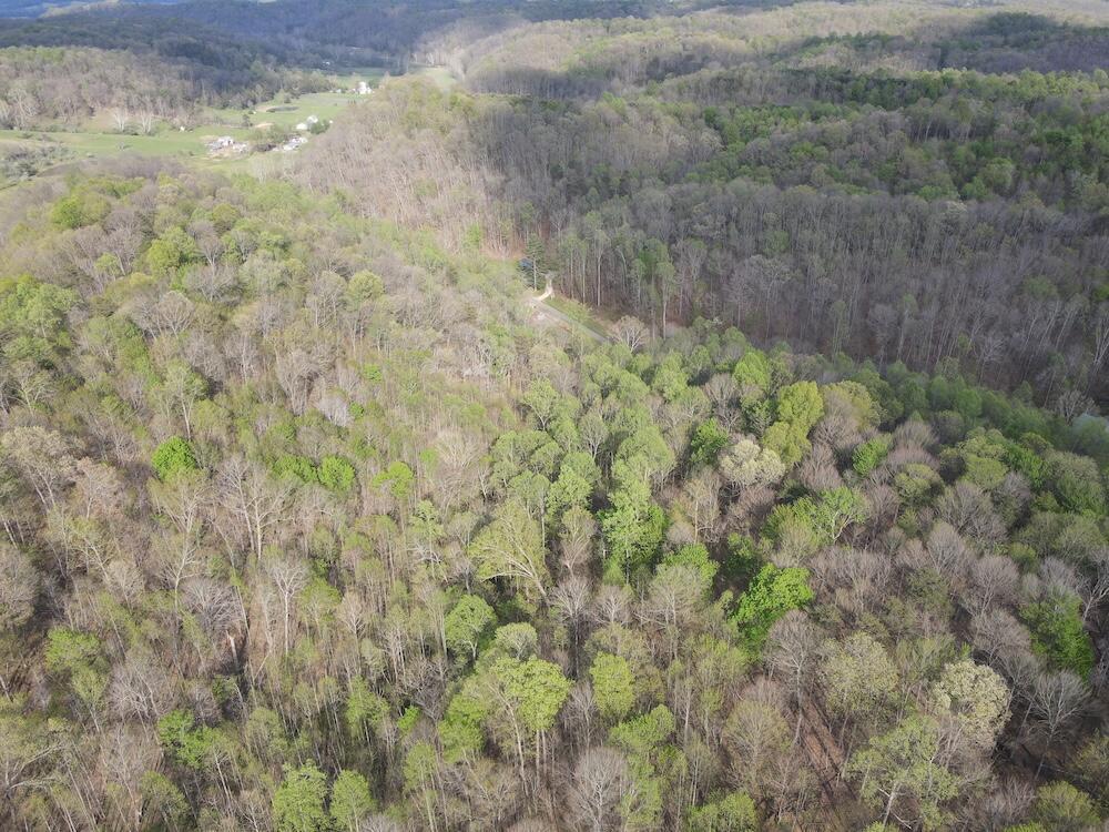 179 Pyle Road Lucasville, OH 45648 - Photo 9 of 32 pic 7