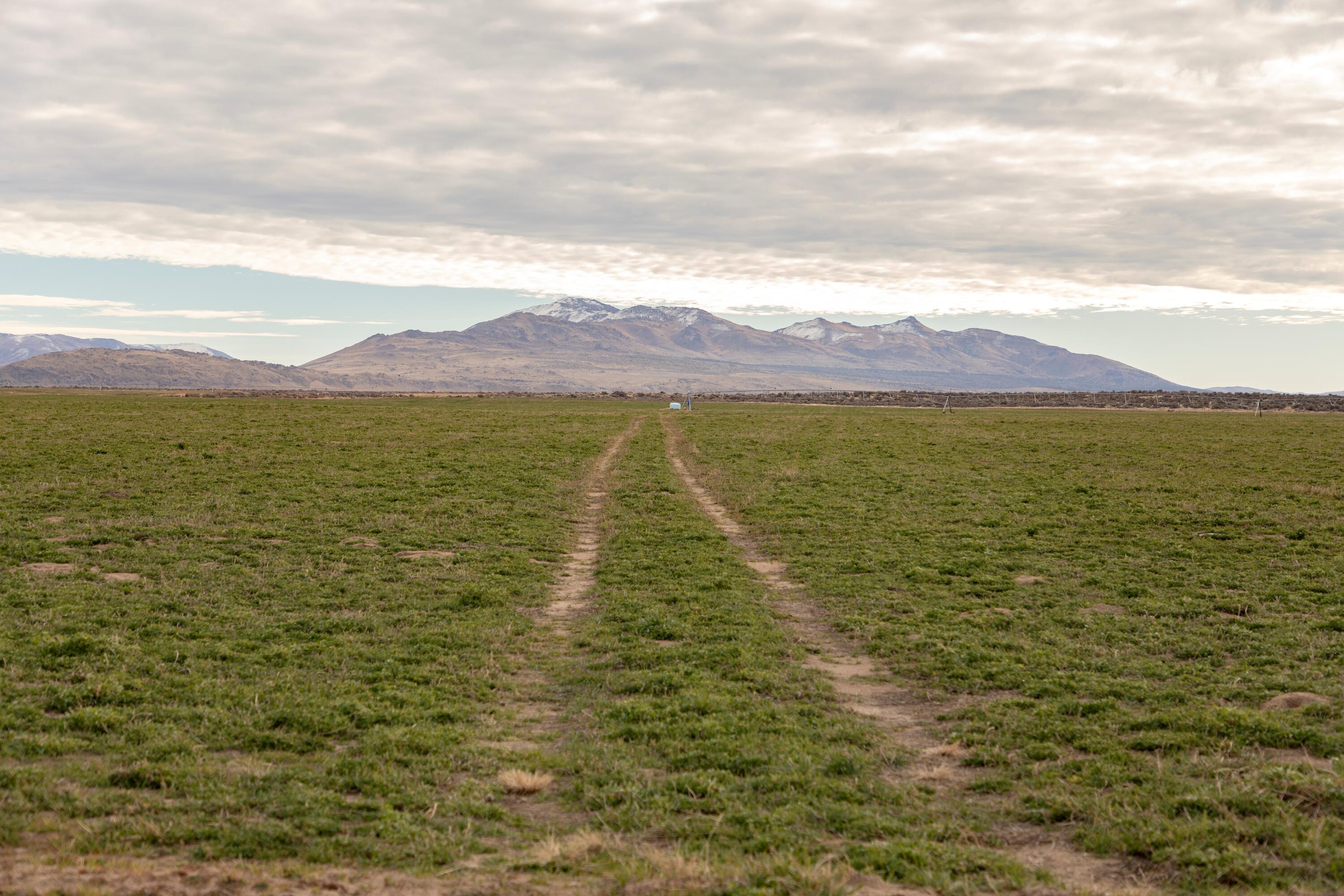 447-040 Garnier Road Herlong, CA 96113 - Photo 17 of 27 a view of an ocean view