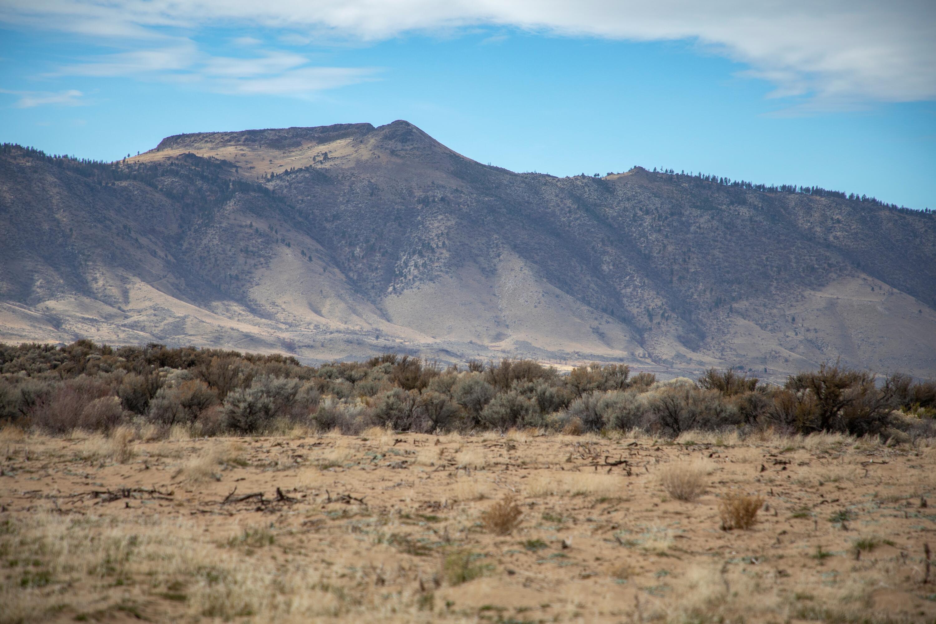 447-040 Garnier Road Herlong, CA 96113 - Photo 19 of 27 a view of mountain and mountains