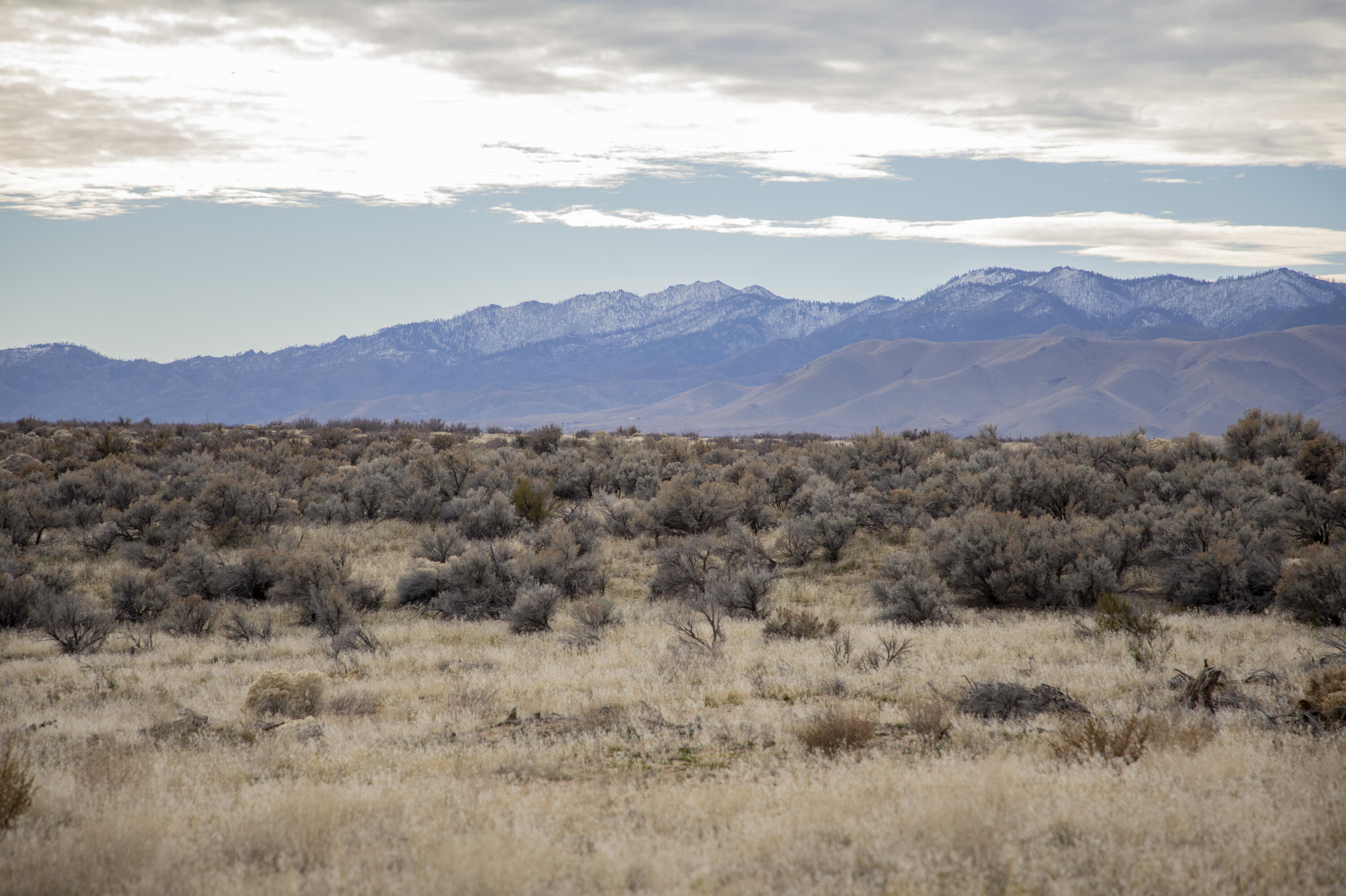 447-040 Garnier Road Herlong, CA 96113 - Photo 2 of 27 a view of an outdoor of trees and sunset