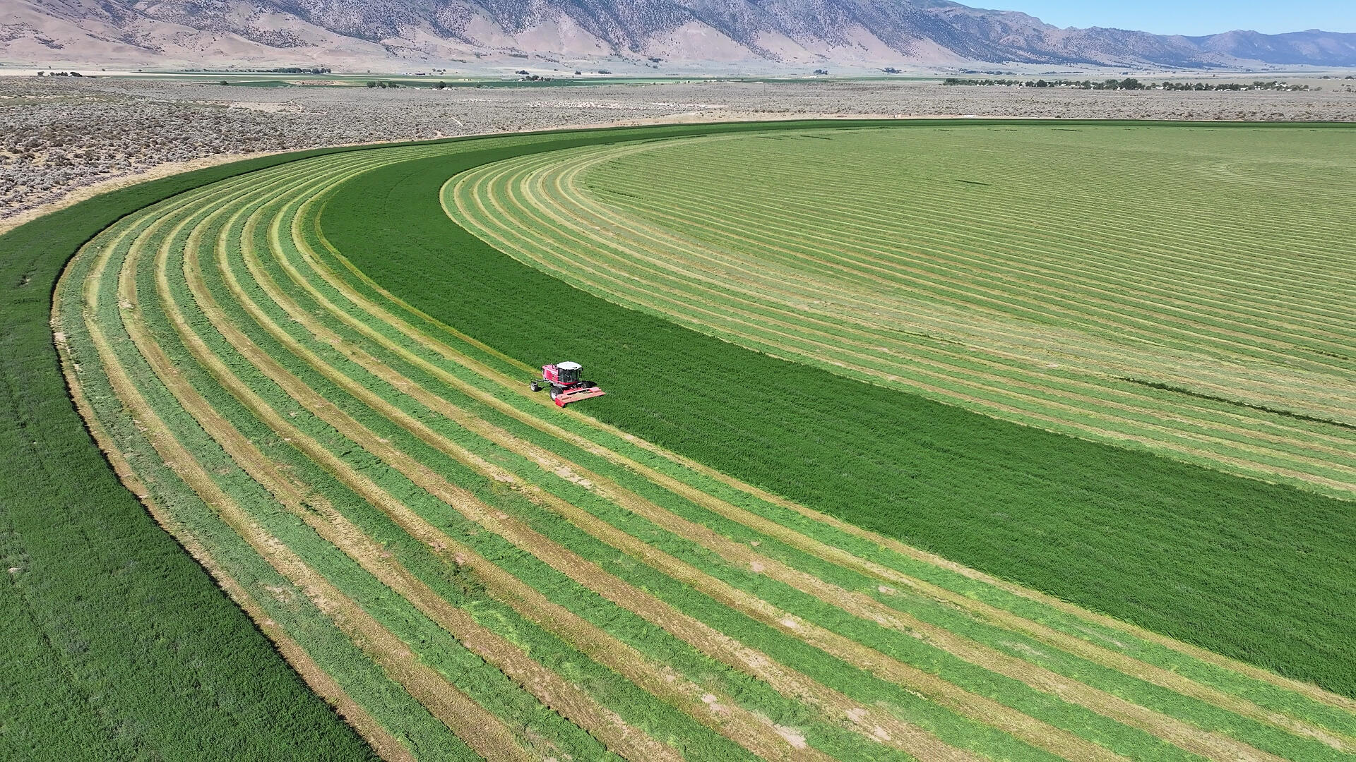 447-040 Garnier Road Herlong, CA 96113 - Photo 21 of 27 a view of a pool with a yard