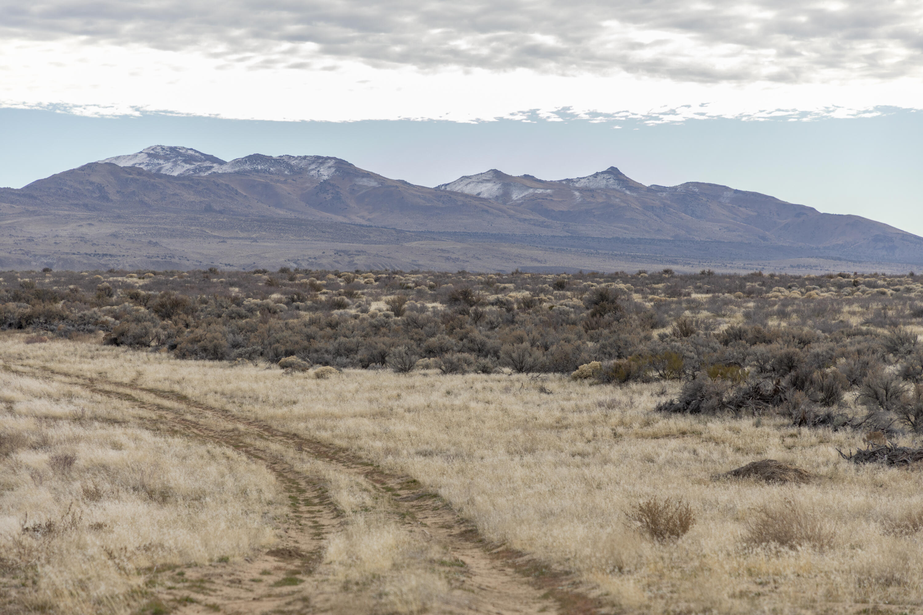 447-040 Garnier Road Herlong, CA 96113 - Photo 3 of 27 a view of mountain and a mountain view
