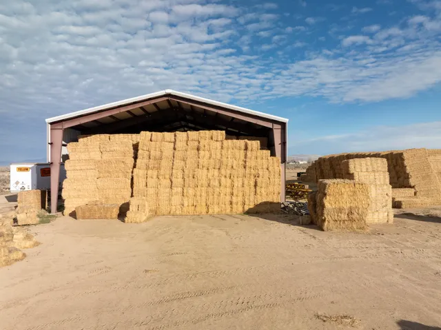 a view of a bedroom with a bed and dresser