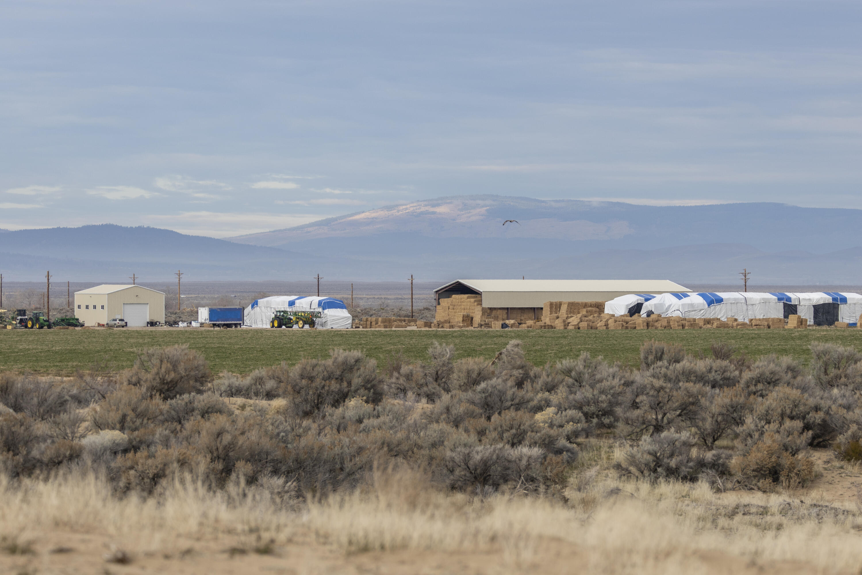 447-040 Garnier Road Herlong, CA 96113 - Photo 6 of 27 a view of a yard with mountain and trees
