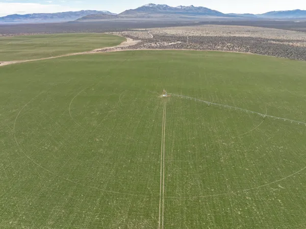 a view of a field with an ocean view
