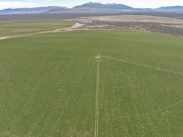 a view of a field with an ocean view