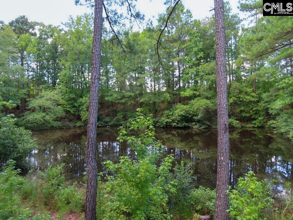 529 Martin Road Winnsboro, SC 29180 - Photo 29 of 83 Gallery Image 29