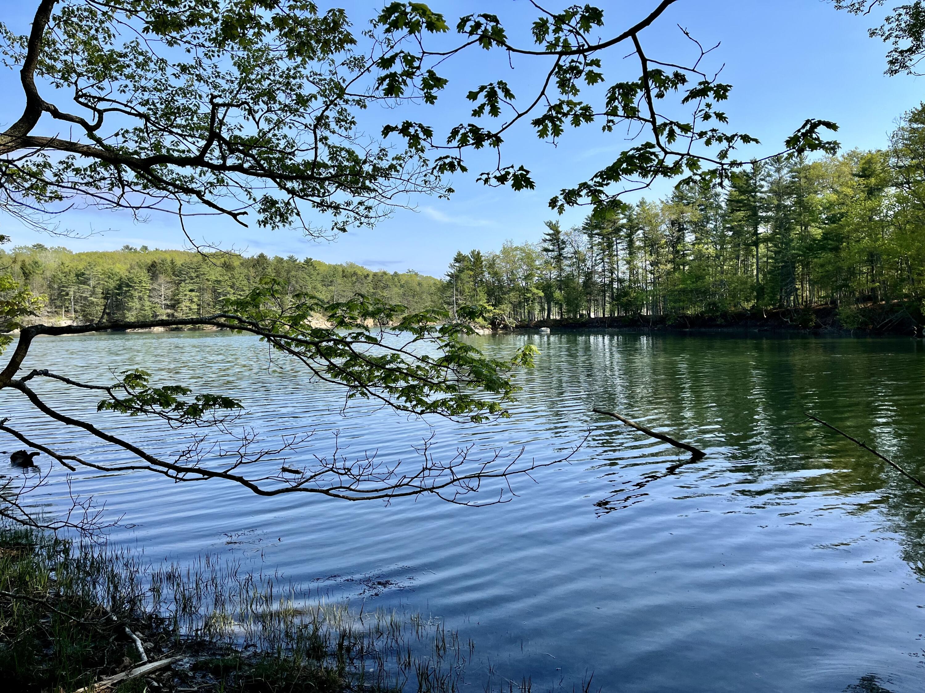 Lot 72 Breezy Point Rd