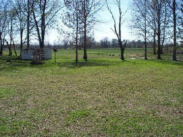 16059 Collins Road Johnston City, IL 62951 - Photo 4 of 11 Gallery Image 4