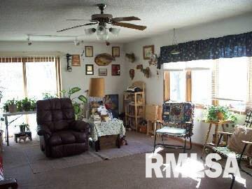 16059 Collins Road Johnston City, IL 62951 - Photo 10 of 11 Gallery Image 10
