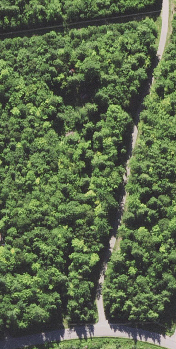 Lot 1-11 Cook Road Carmel, ME 04419 - Photo 2 of 2 14F48505-4CD3-47FB-90CE-E0F0991D289D