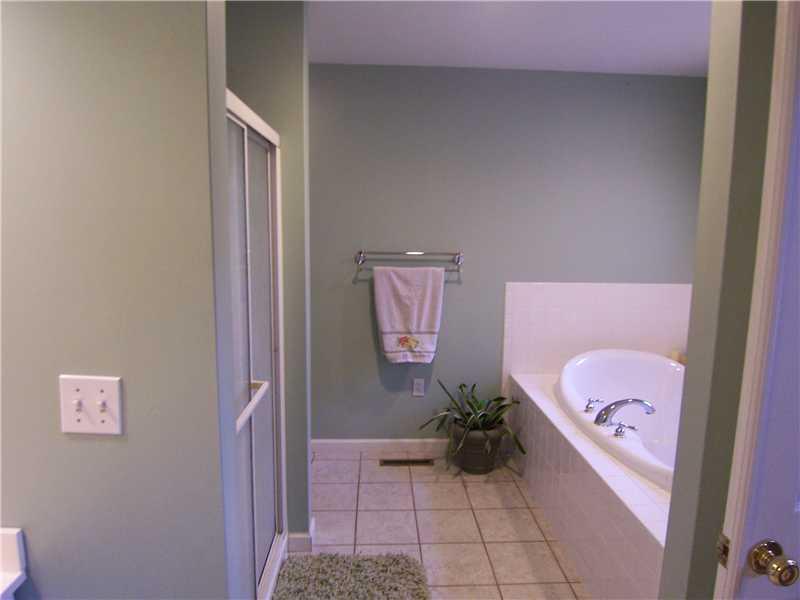 71 Mong Road Scenery Hill, PA 15360 - Photo 12 of 24 Master Bath/Spa. Jet Spray Tub in Master Bath