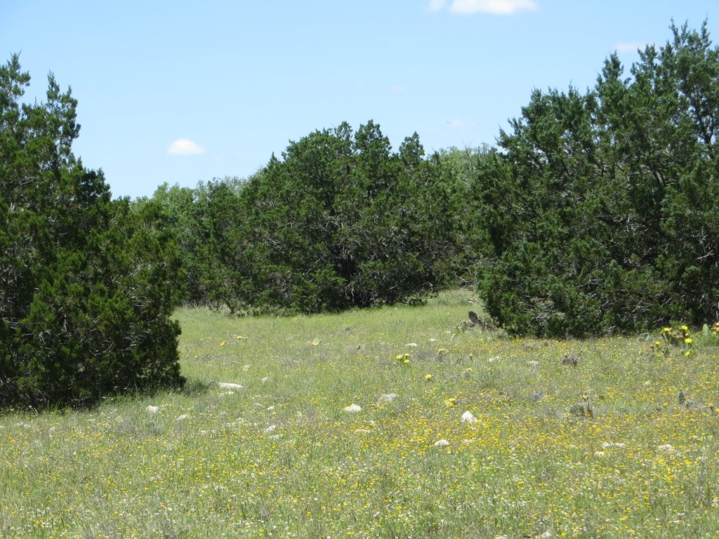 24 Kc 24 Junction, TX 76849 - Photo 9 of 23 a view of outdoor space and yard