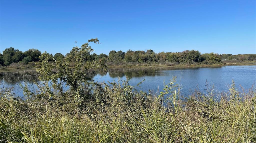 3345 Rains County Road 3345 Emory, TX 75440 - Photo 1 of 1 LAKE FORK