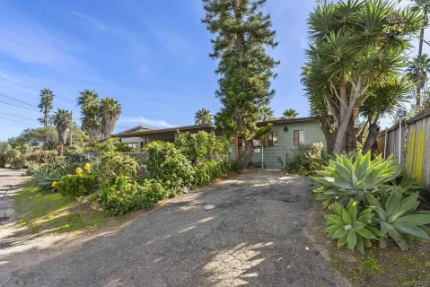a view of a yard with plants and palm trees