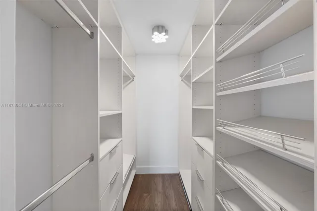a view of walk in closet