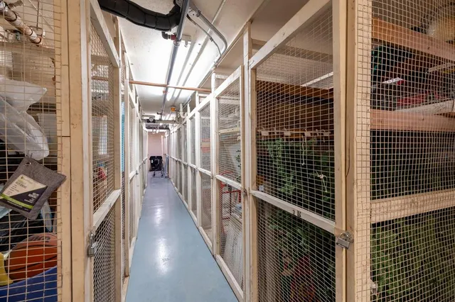 $5,000 | 1620 South Ocean Boulevard, Unit 5M, Lauderdale-by-the-Sea, FL 33062