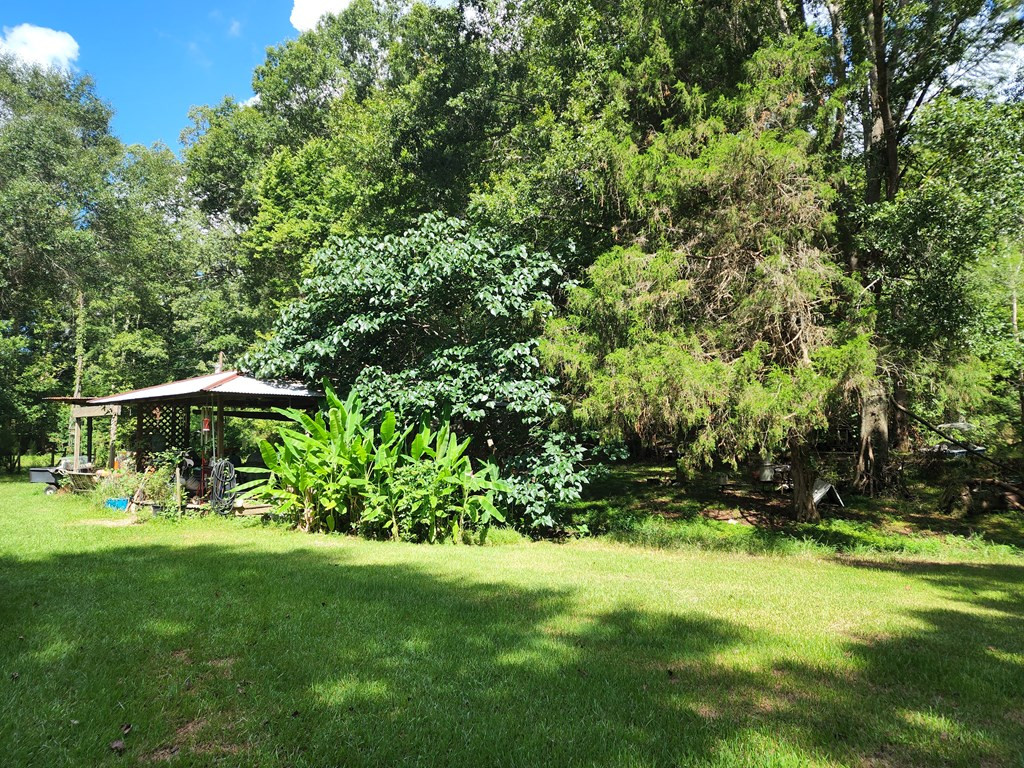 53 Low Water Bridge Road Natchez, MS 39120 - Photo 12 of 14 Outdoor Covered Deck