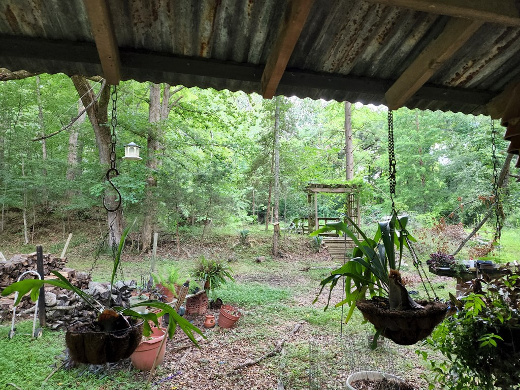 53 Low Water Bridge Road Natchez, MS 39120 - Photo 13 of 14 Path to Pond