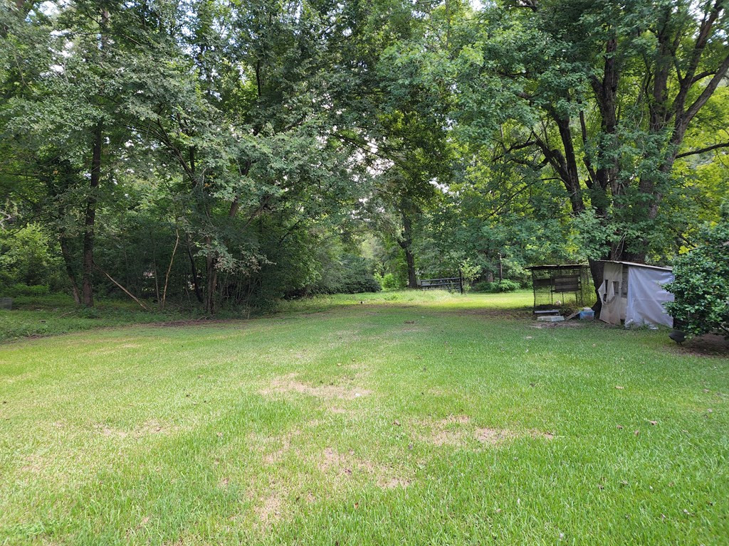 53 Low Water Bridge Road Natchez, MS 39120 - Photo 2 of 14 Back Yard