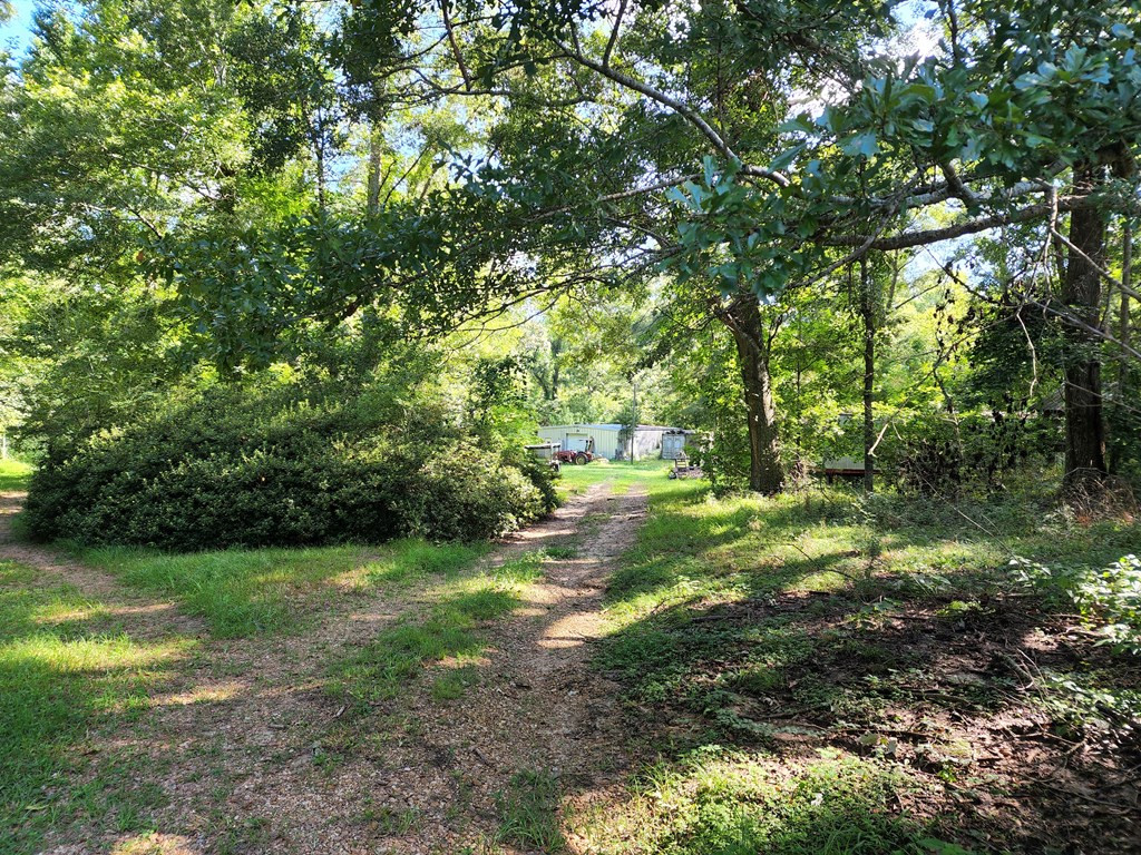 53 Low Water Bridge Road Natchez, MS 39120 - Photo 4 of 14 Road to Shop and Barn