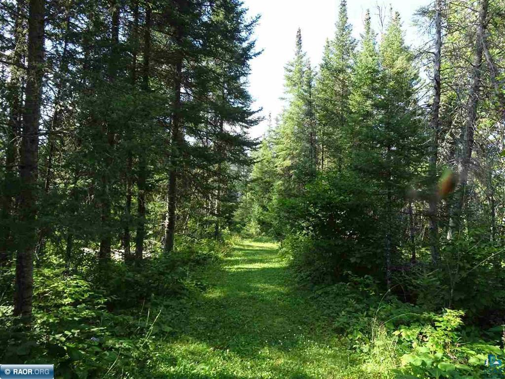 6701 Koski Road Tower, MN 55790 - Photo 12 of 24 View of landscape