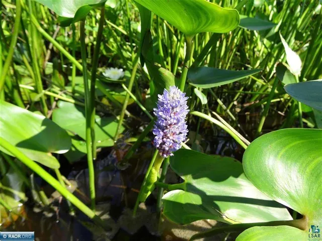 $275,000 | 6701 Koski Road, Tower, MN 55790