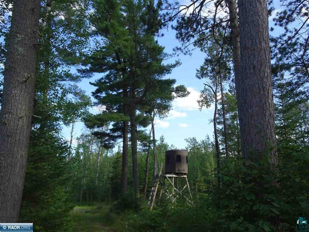 6701 Koski Road Tower, MN 55790 - Photo 15 of 24 View of nature