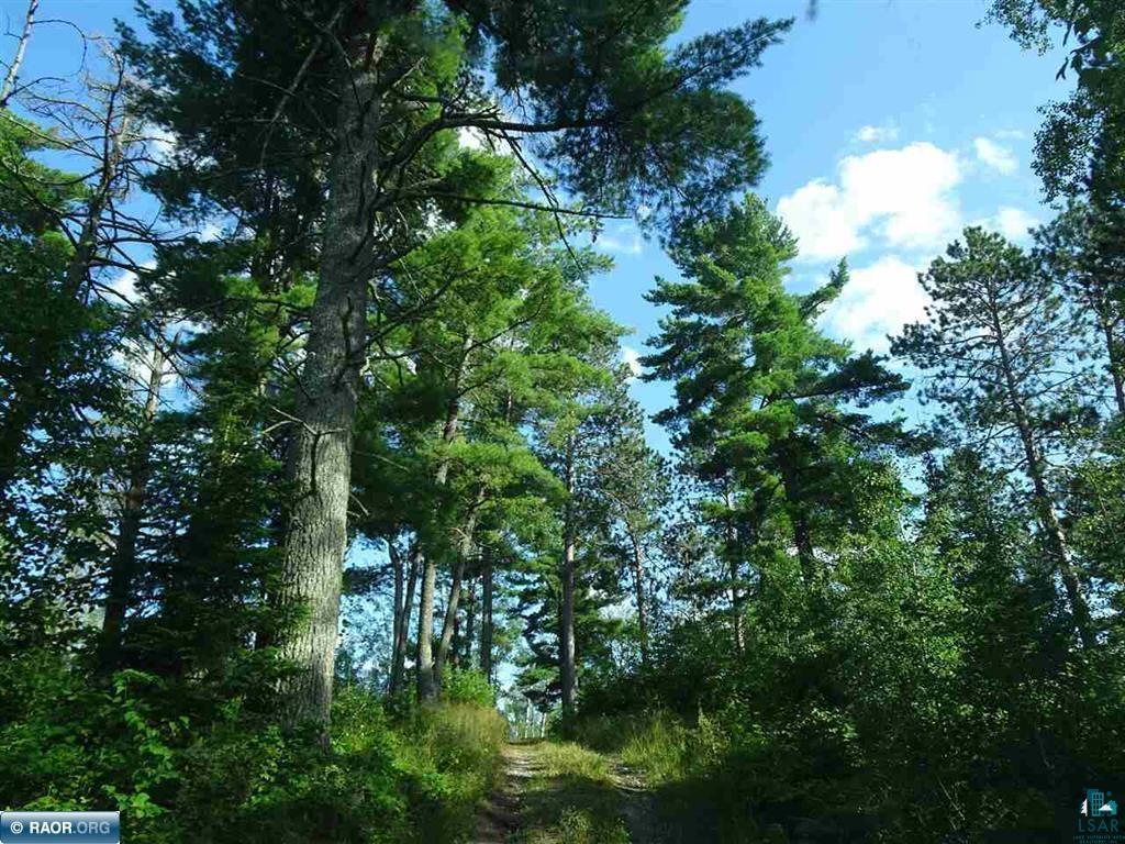 6701 Koski Road Tower, MN 55790 - Photo 22 of 24 View of landscape