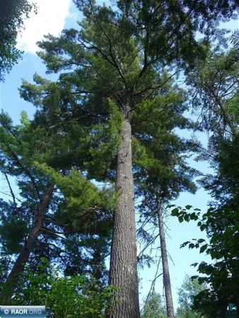 $275,000 | 6701 Koski Road, Tower, MN 55790