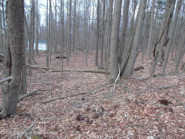 a view of wooden fence