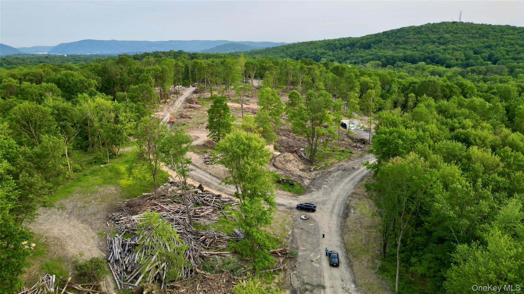 20 Wells Road Newburgh, NY 12550 - Photo 10 of 19 Bird's eye view of a heavily wooded area and a mountain backdrop