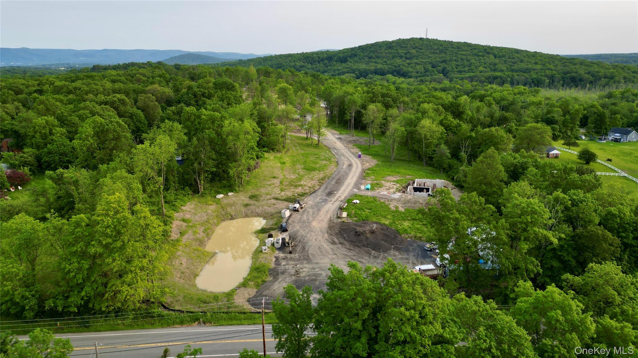 20 Wells Road Newburgh, NY 12550 - Photo 8 of 19 Bird's eye view of a forest and a mountainous background