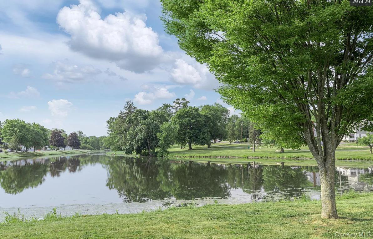 127 Spring Street, Unit 201 Monroe, NY 10950 - Photo 19 of 21