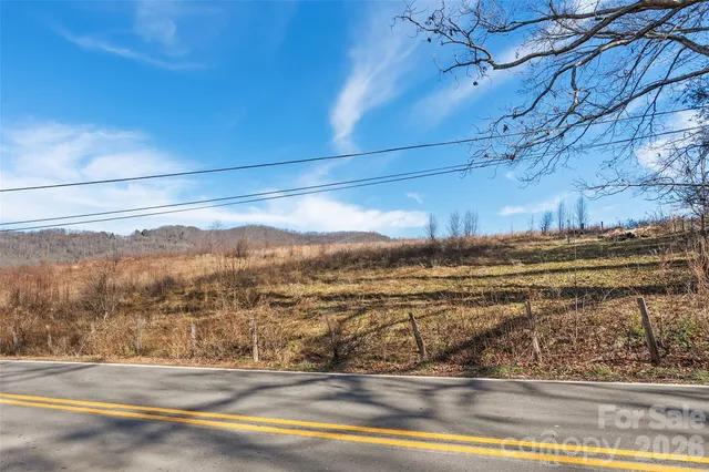 a view of a pathway in a yard