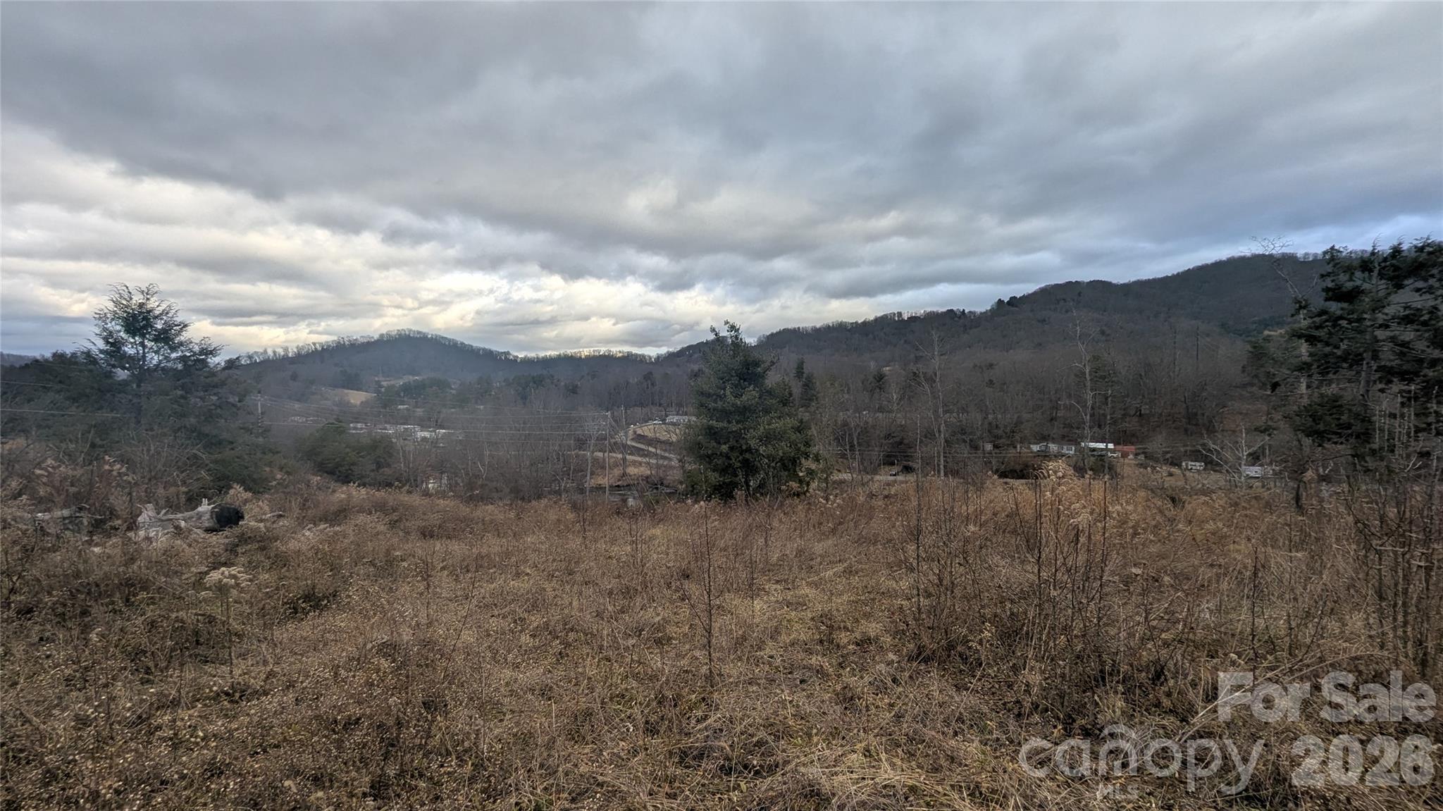 347 Richland Creek Road Clyde, NC 28721 - Photo 12 of 37 a view of a dry yard with mountains in the background