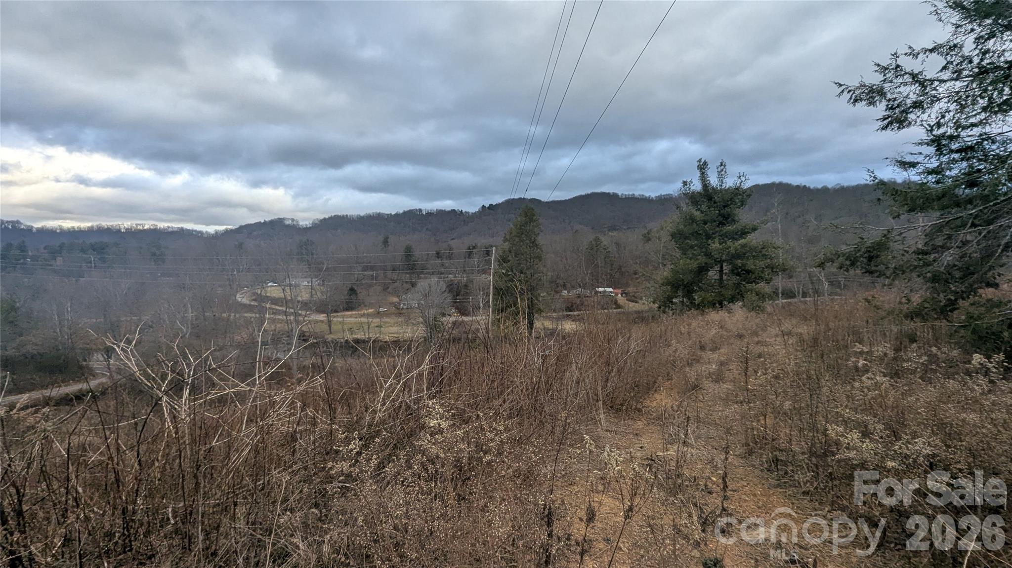 347 Richland Creek Road Clyde, NC 28721 - Photo 13 of 37 a view of a lot of trees in a field