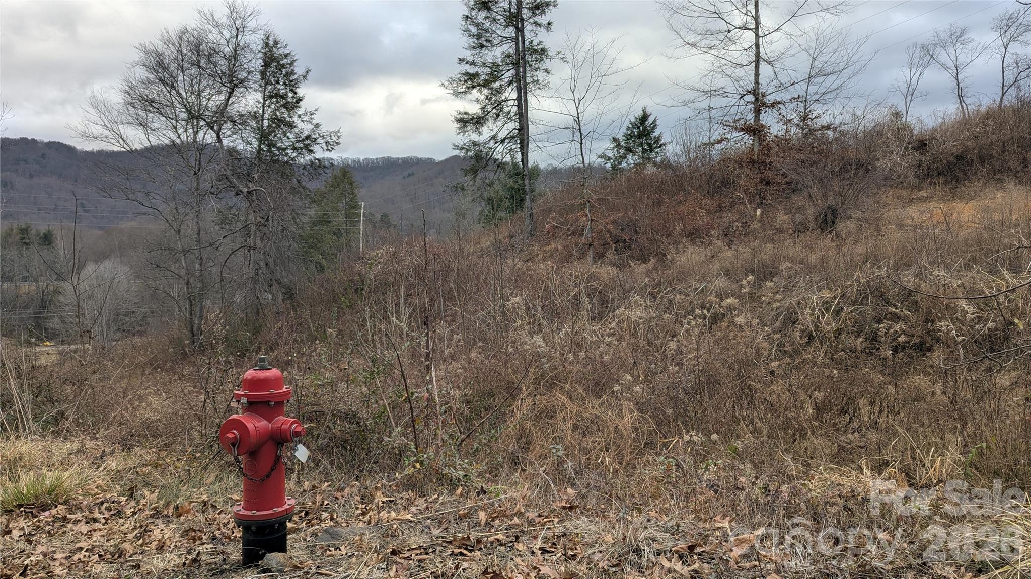 347 Richland Creek Road Clyde, NC 28721 - Photo 14 of 37 a view of a pathway in a yard