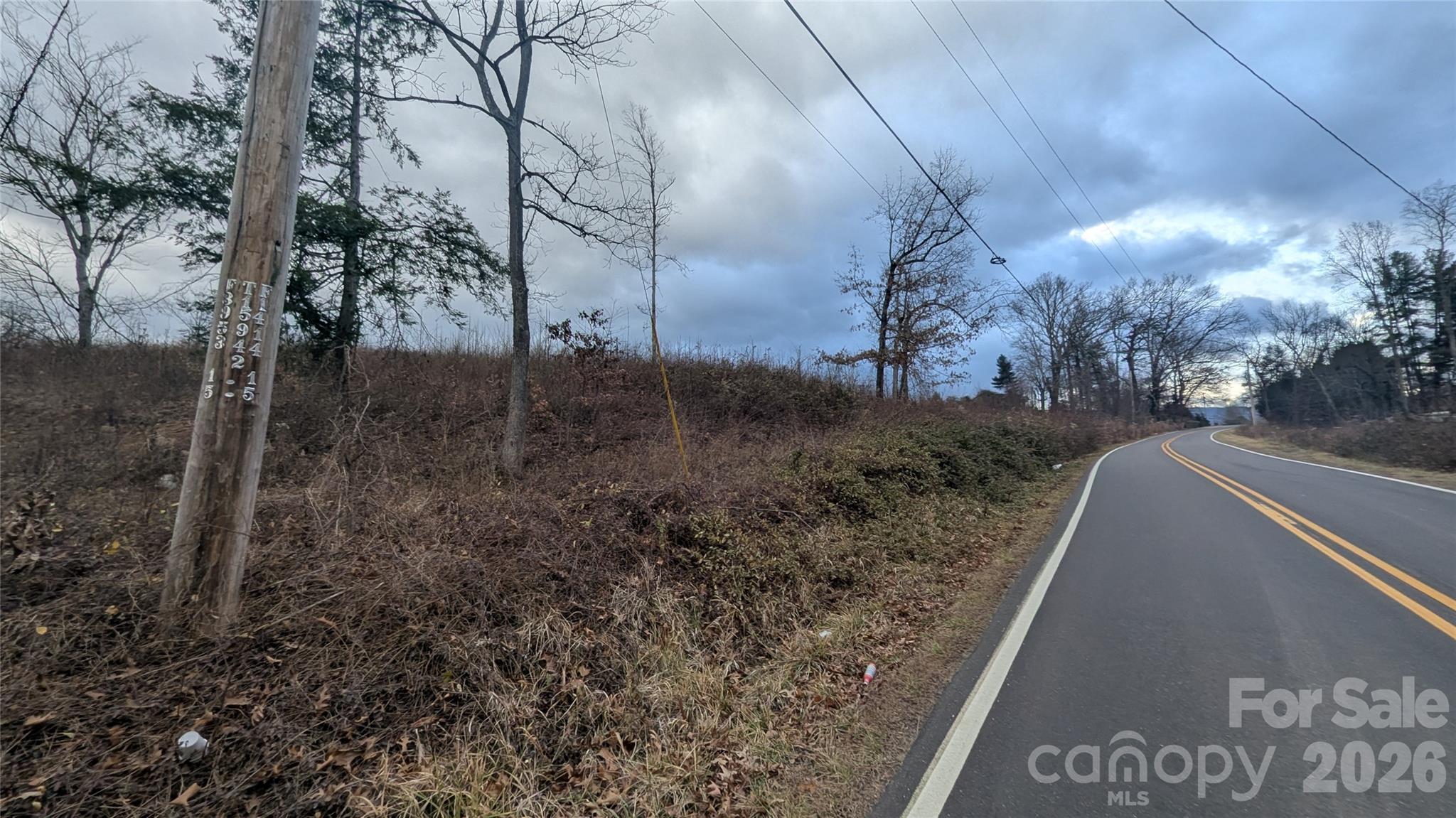347 Richland Creek Road Clyde, NC 28721 - Photo 16 of 37 a view of a yard