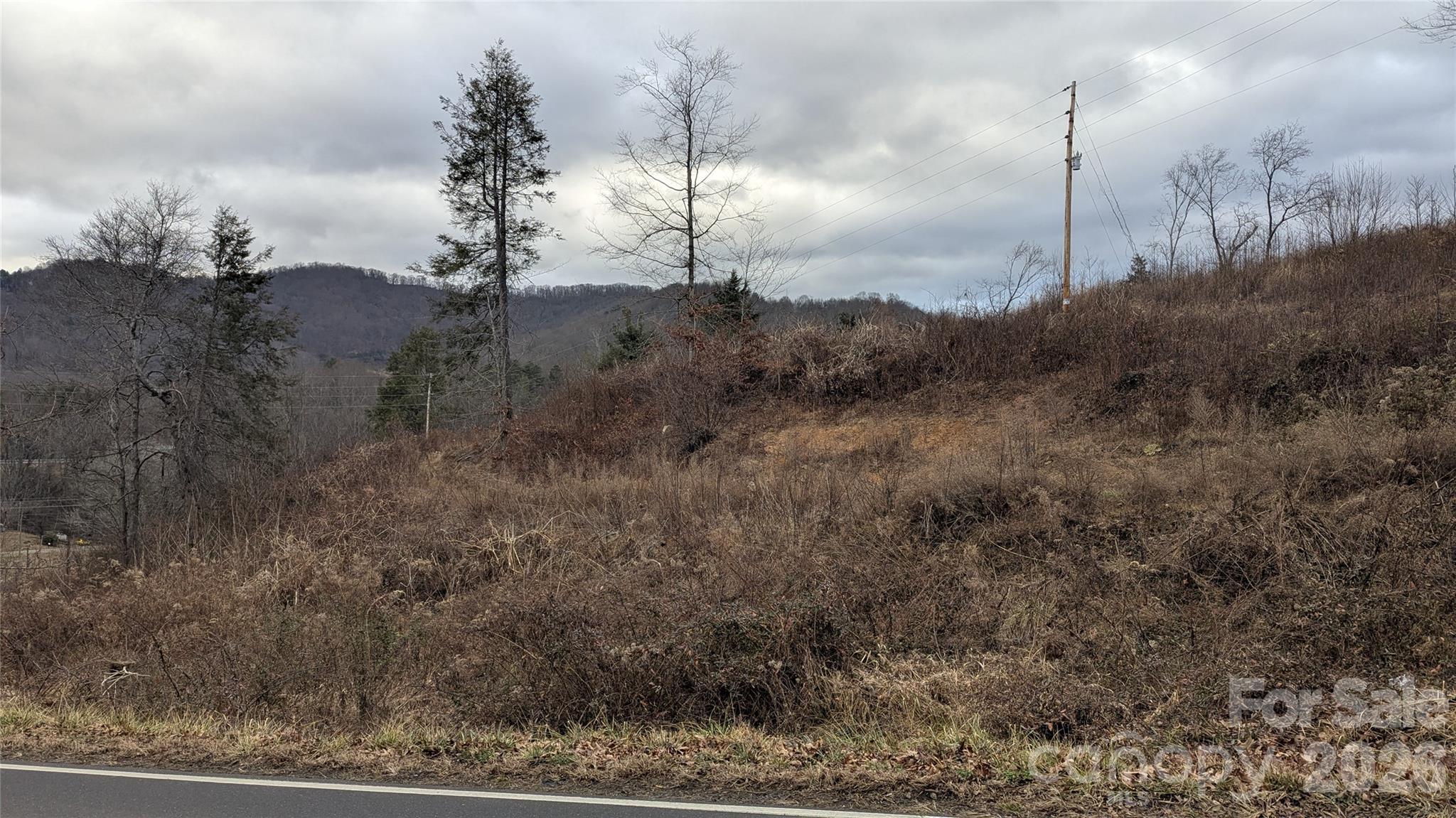 347 Richland Creek Road Clyde, NC 28721 - Photo 22 of 37 a view of a city with a yard