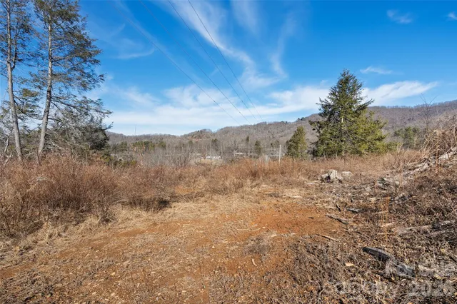 a view of mountain view with lots of trees