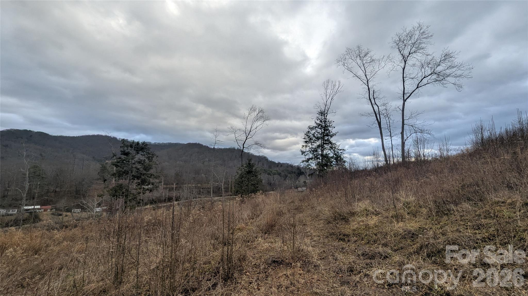 347 Richland Creek Road Clyde, NC 28721 - Photo 35 of 37 a view of a dry yard
