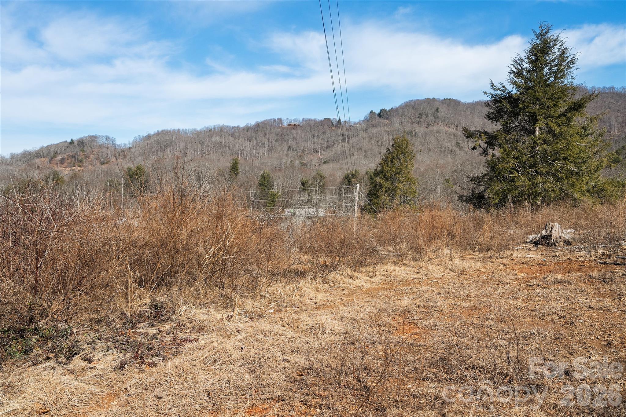 347 Richland Creek Road Clyde, NC 28721 - Photo 4 of 37