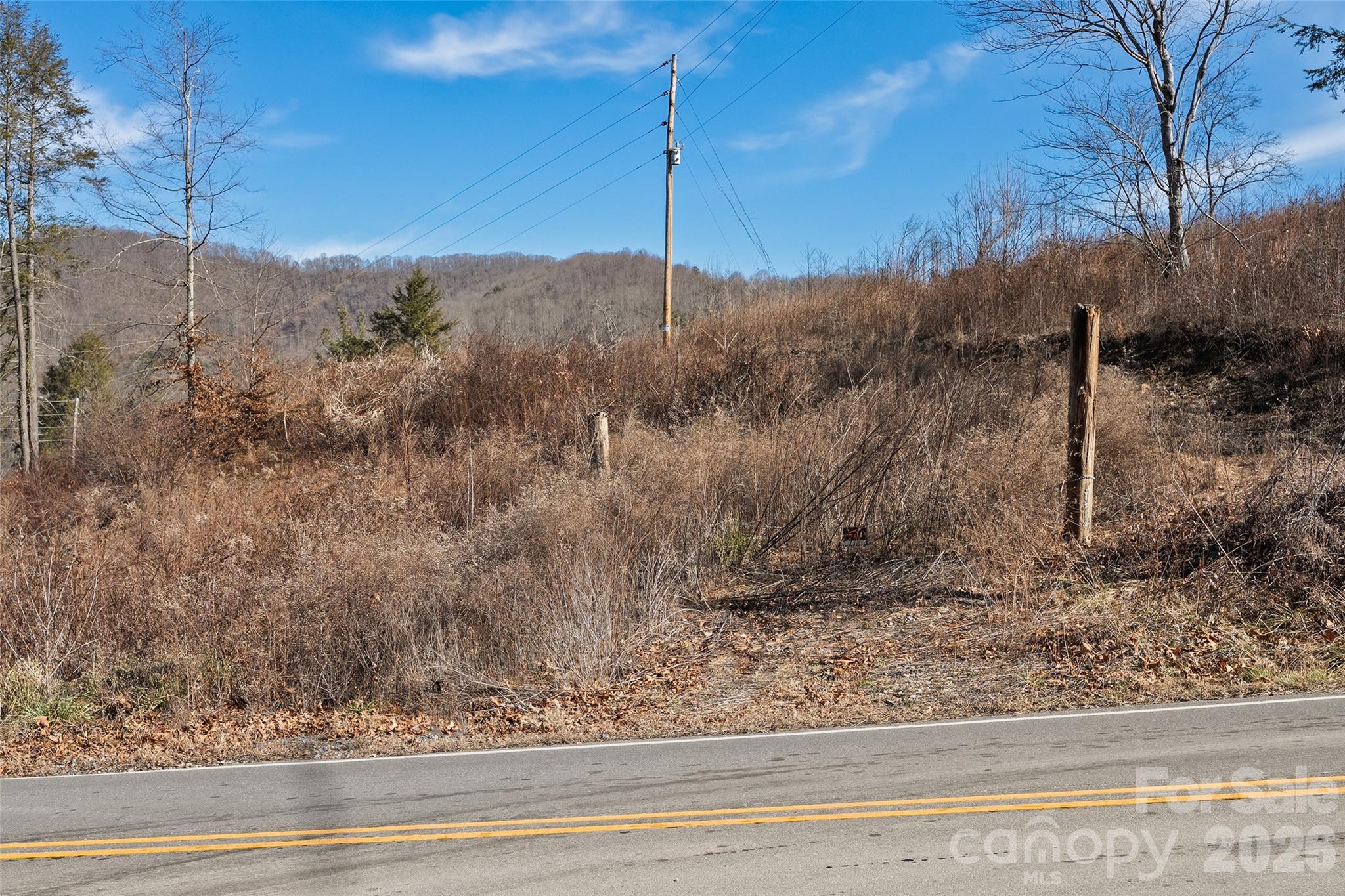 347 Richland Creek Road Clyde, NC 28721 - Photo 9 of 37 a view of a bird bath
