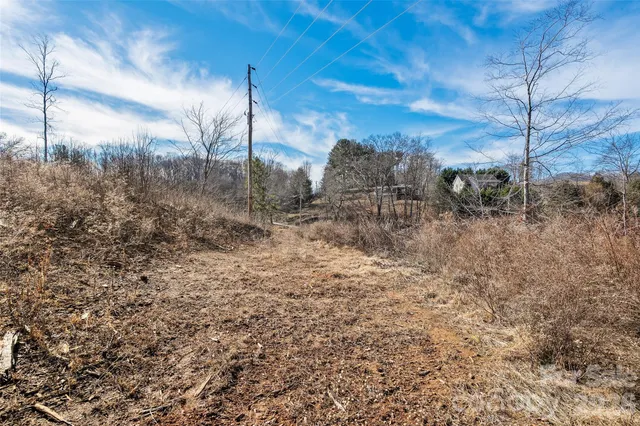 a view of a lot of trees in a field