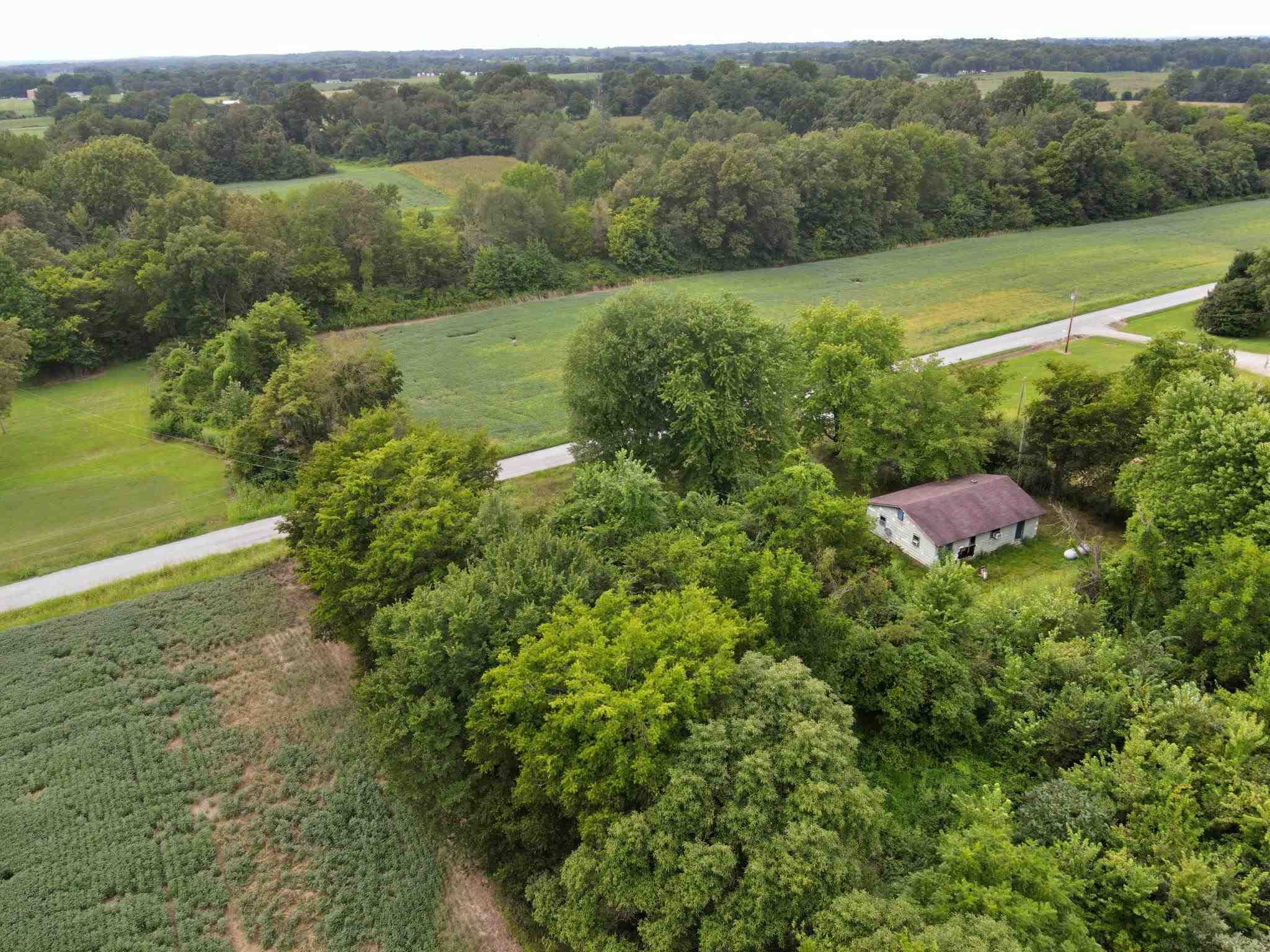 4062 Guinea Road Metropolis, IL 62960 - Photo 8 of 16 Gallery Image 8