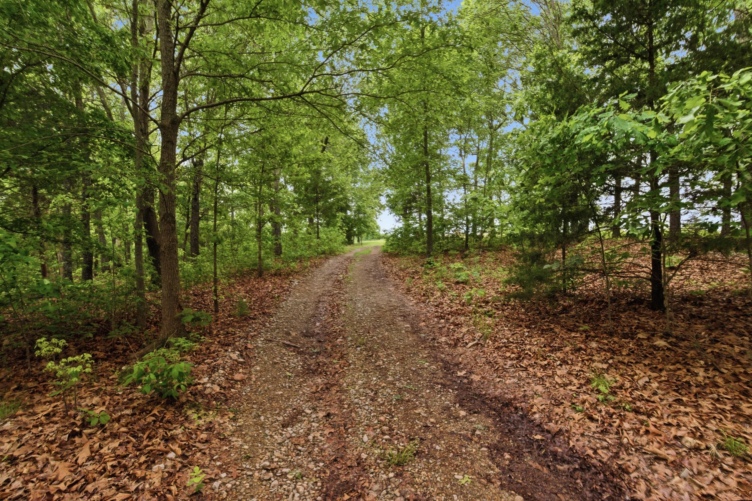 358 Co Road Caulfield, MO 65626 - Photo 55 of 74 img_0212